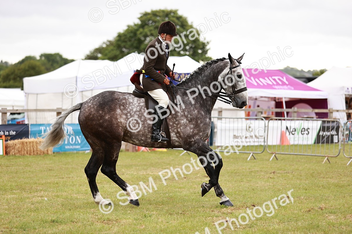 SBM_10952 - Class 81-84 - RIHS Ridden hunters Inc Ladies Hunter