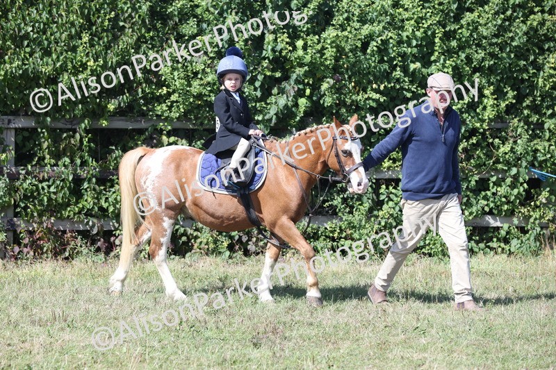 20250831-3145 - Class 24 - Absolute Beginners Pony