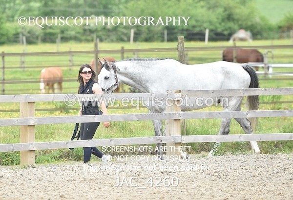 JAC_4260 - CLASS 6 Senior Foxhunter/ 1.20m Open
