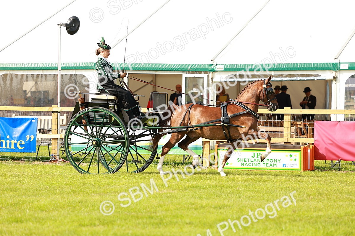 SBM_01170 - Class 2-4 - HOYS Private Driving