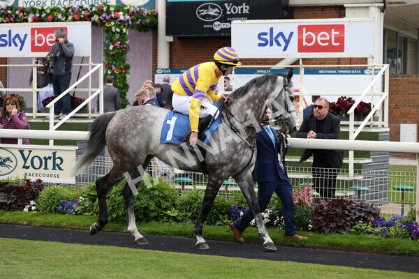 yr11062022r1-101 - Race 1 12.45pm Macmillan Ride of Their Lives, supported by Sky Bet