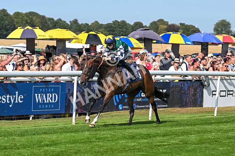 130825-Race 5-Bell Shot-8886 - Race 5