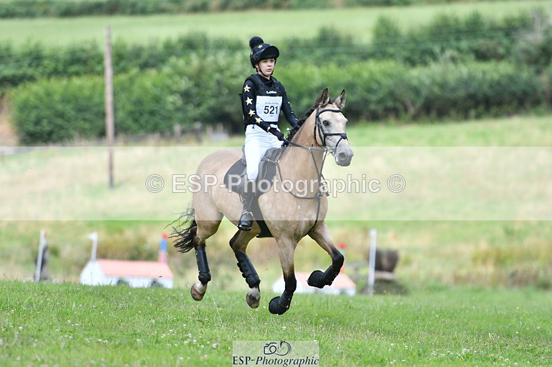 240804-134701-14975 - 521-Lily_Howell-WOODFIELD_GOLD