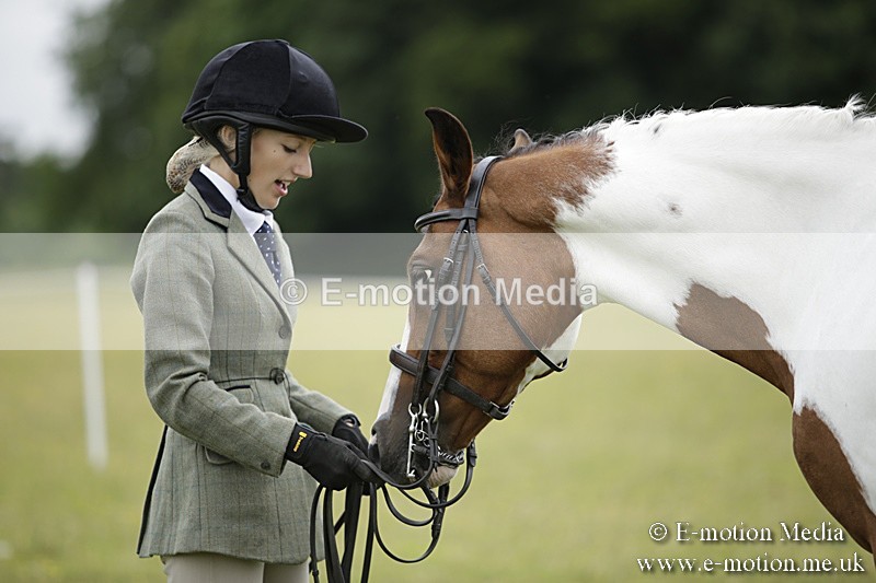 BVR160717-843 - Ring 2 BVRC Show 16/07/17