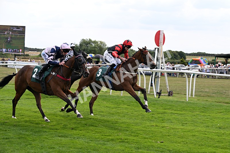 260826-Race 1-Mugheer-2148 - Race 1 14:15 Yorkshire Dales Distillery / EBF Restricted Maiden Stakes