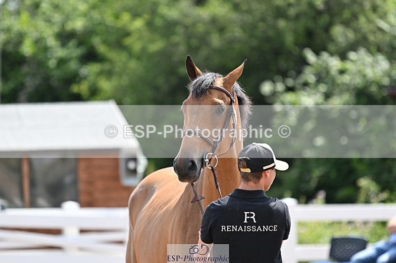 240717A-151458-02683 - Trot Up 3pm to 4pm