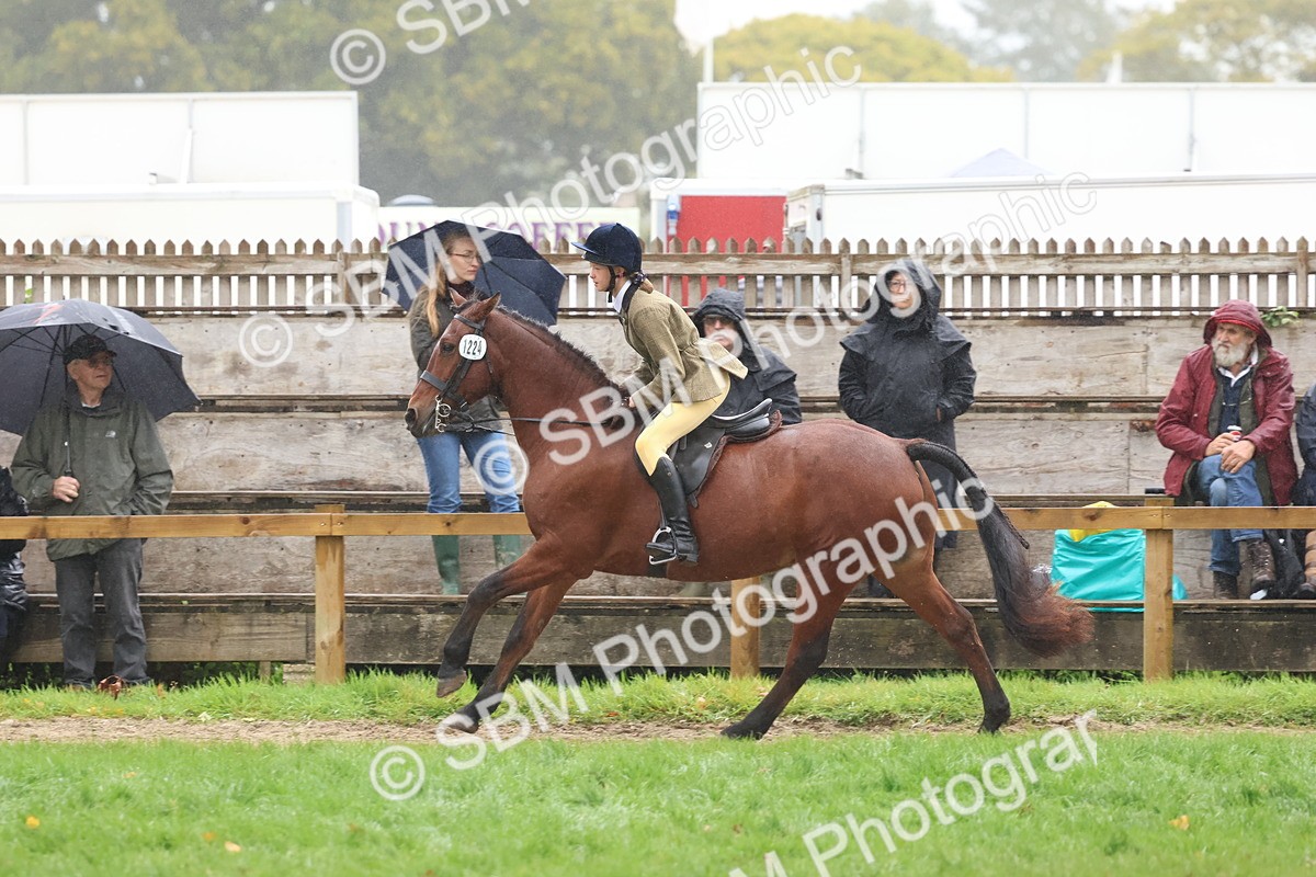 SBM_73017 - S63 Show Pony & Show Hunter Pony Ridden