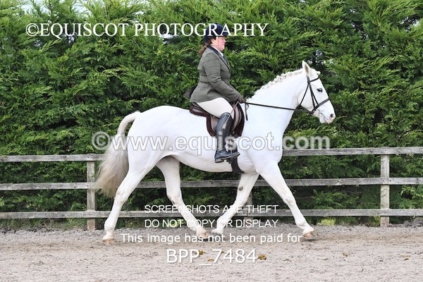 BPP_7484 - RING 1  (RIDDEN HORSES / IN HAND / VETERAN ETC)