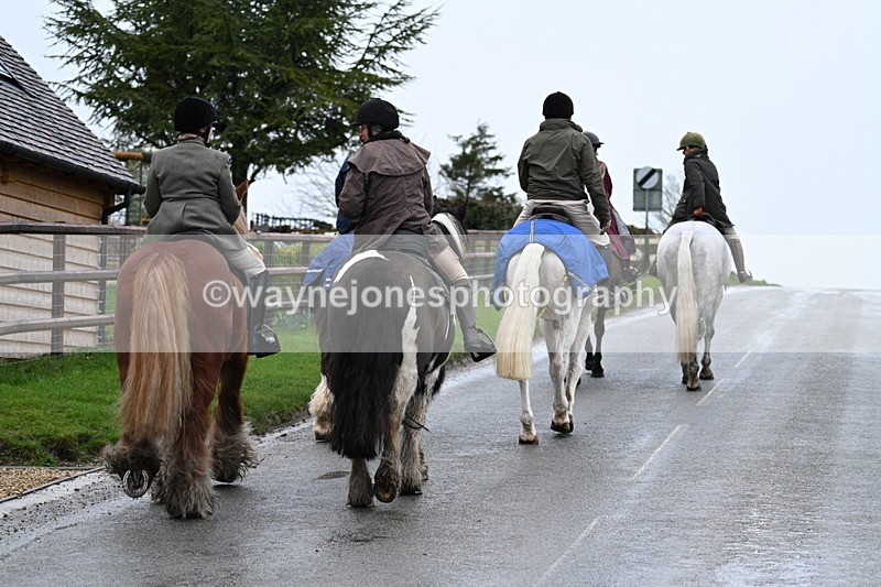 WJ7_8839 - Berks & Bucks - Rowles Farm 15-02-26