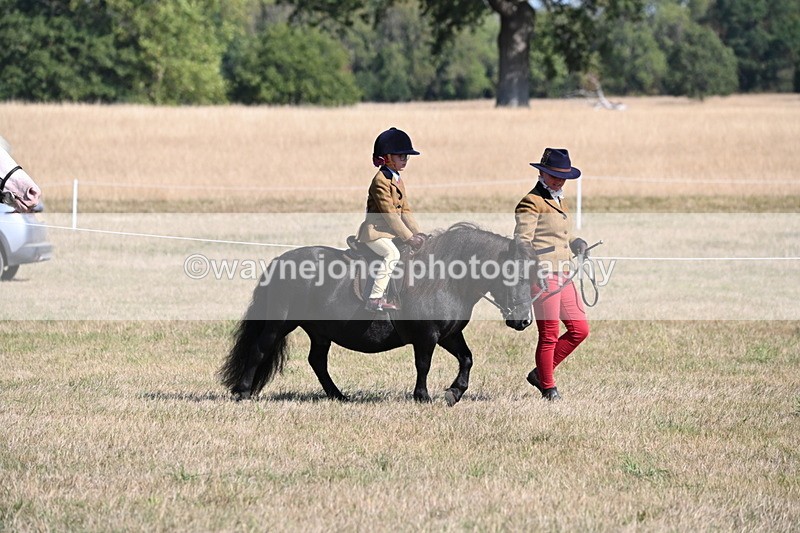 WJ6_7385 - Class 34 Judges Choice