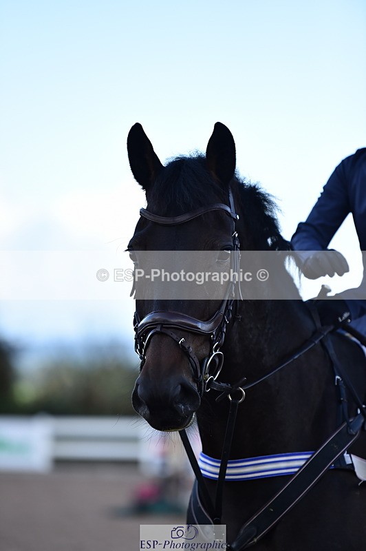 231014A-112704-04032 - Cls 13 85cm Amateur Q 2nd R