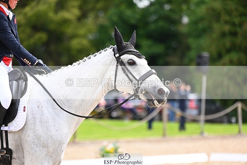 240524-102447-08109 - 416-CRISTAL_FONTAINE-Kitty_King