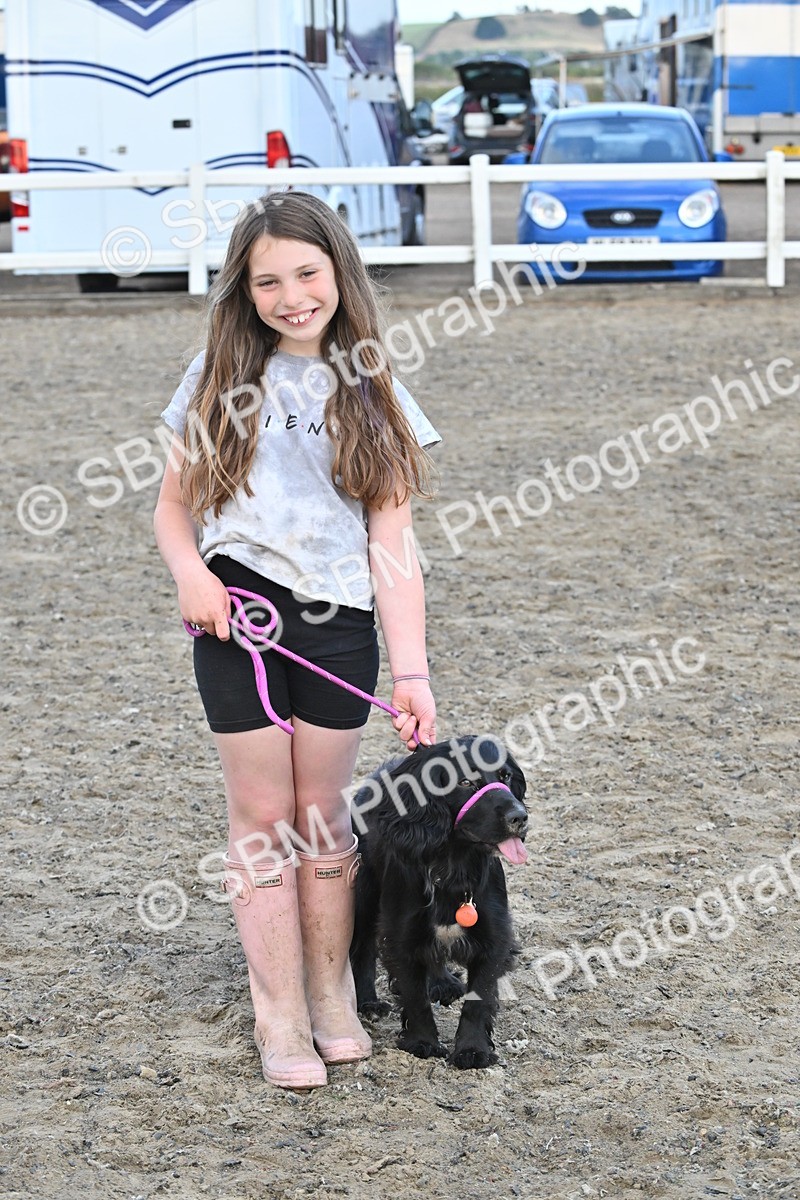 SBM_09539 - Lorry Dogs