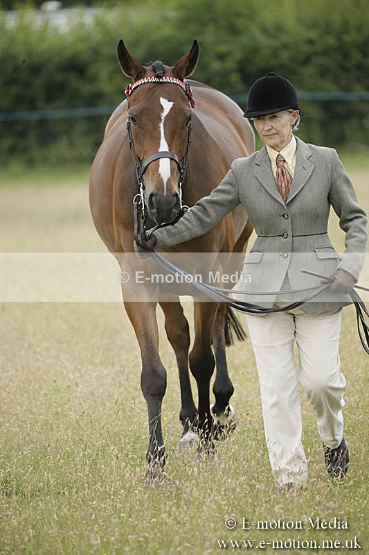 B230619-0234 - Bourne Valley Riding Club Summer Show 23/06/19