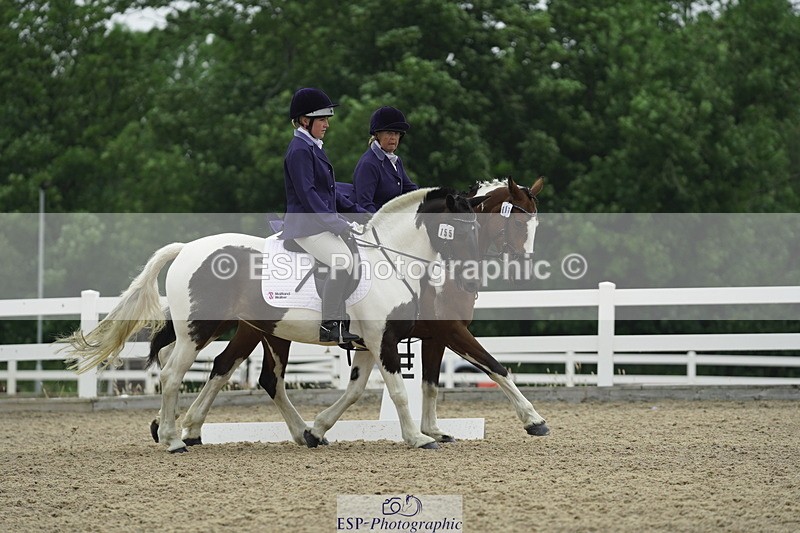 230708A-122458-00386 - BRC Pairs 5