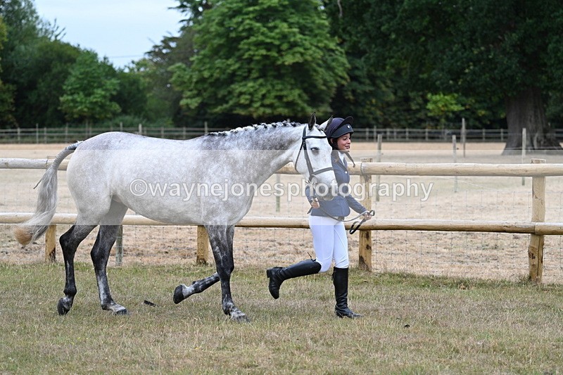 WJ7_8715 - Class 4a Prettiest Mare 14.2hh and over