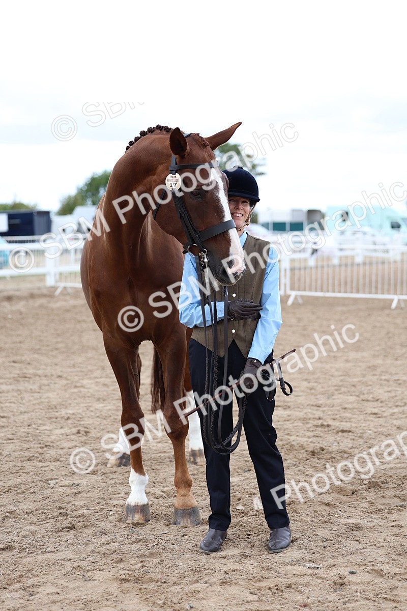 SBM_05089 - Class 27 - IH Competition Horse or Pony