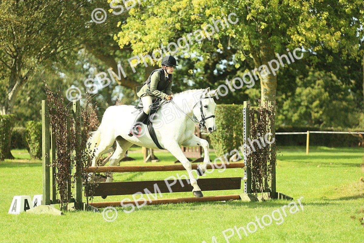 SBM_48046 - S32 - Novice & Newcomers Working Hunter