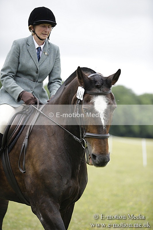 BVR160717-1554 - Ring 1 BVRC Show 16/07/17