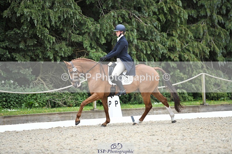 230525-144549-03172 - 323-CHESTNUT_BOBBY-Molly_Fletcher-WEDTrotUp+DR