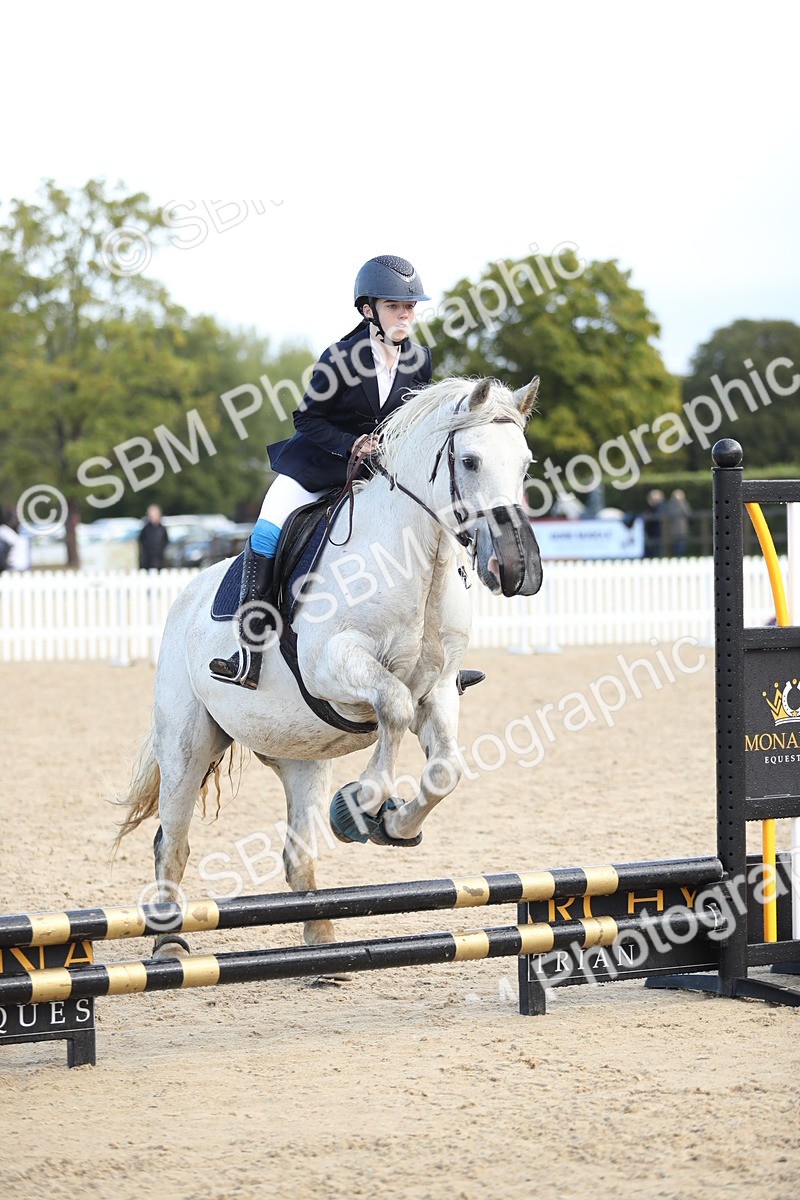 SBM_37287 - J20 - Junior Horse 50cm Championship