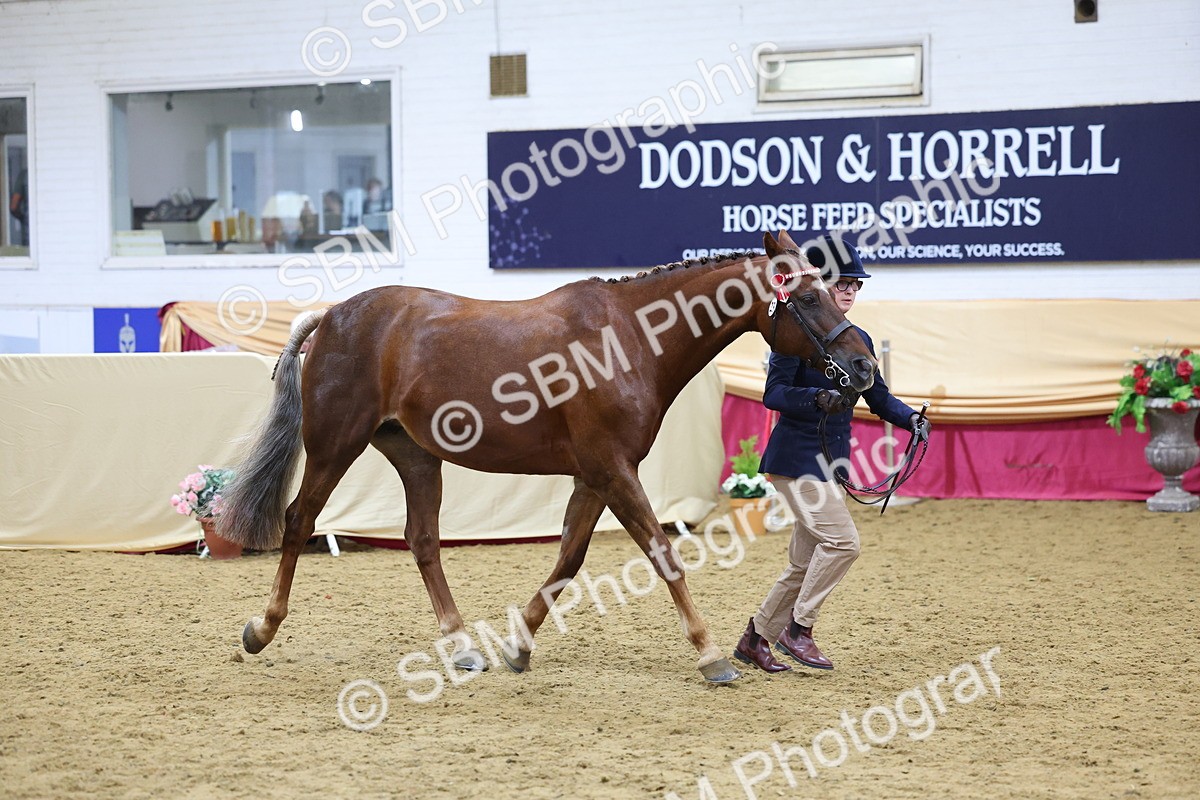 SBM_20931 - Class 902 - Supreme Final IH Veteran