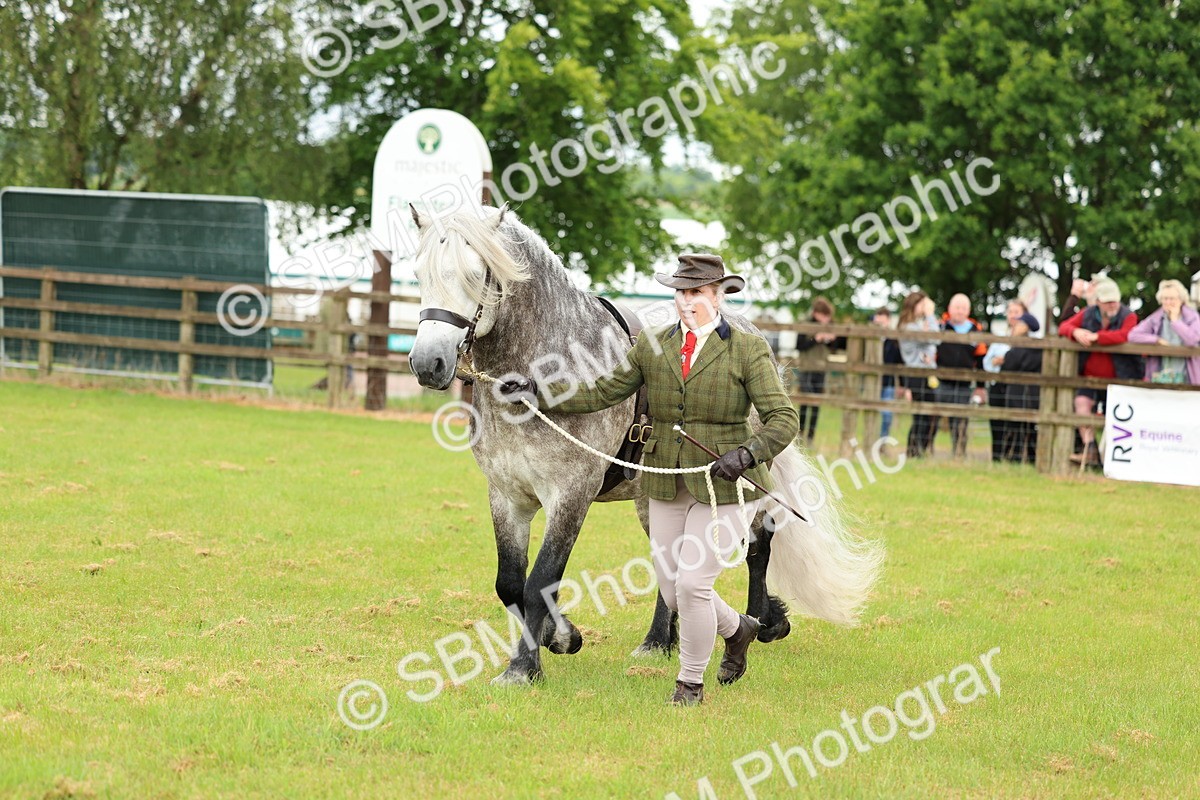 SBM_00506 - Class 58-67 - M&M Non Welsh Pony In hand