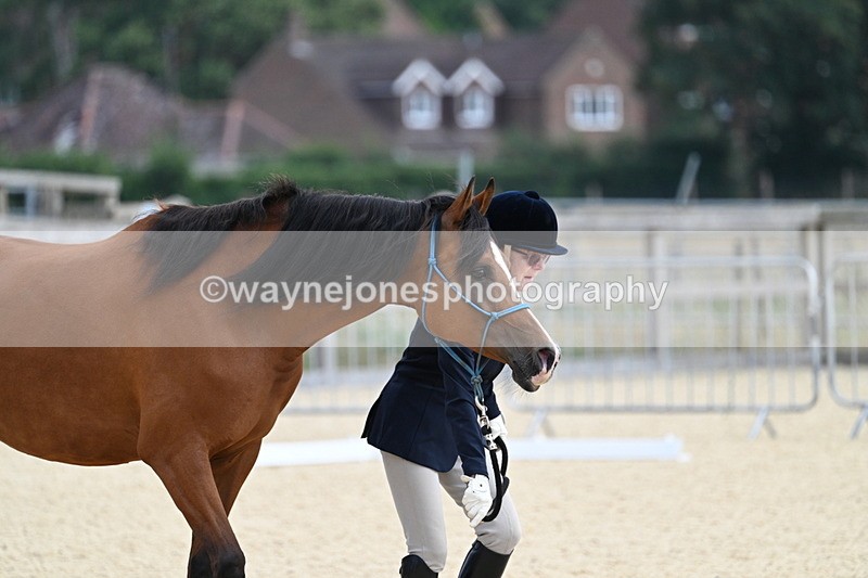 WJ7_1830 - In Hand