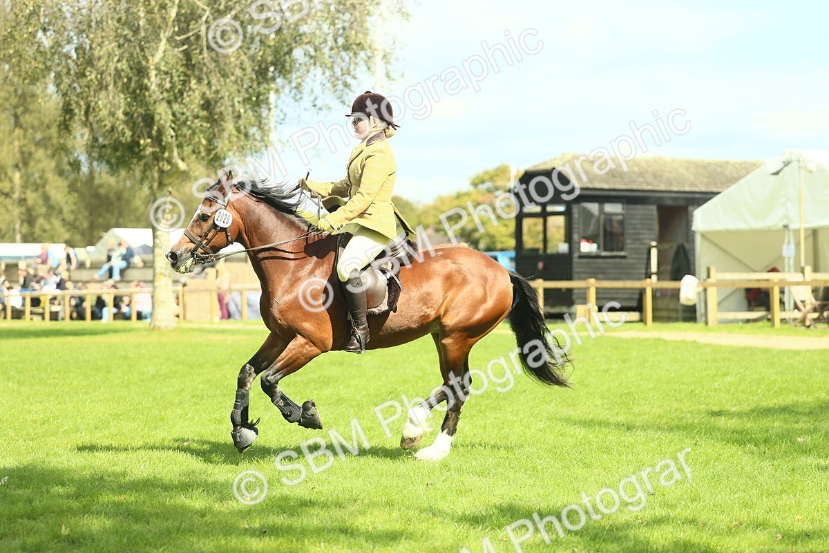 SBM_42975 - S30 - M&M Working hunter Pony