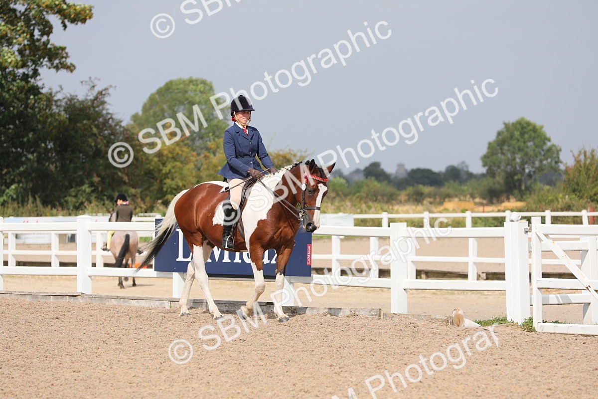 SBM_13332 - Class 308 Ridden Coloured Horse