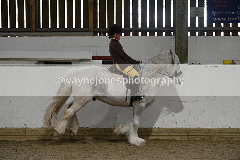 WJ7_4245 - Class 17 Ridden Cob