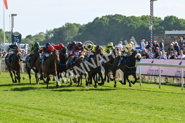 140525-Race 5-Rare Change-2707 - Race 5 4.18pm Conundrum HR Consulting Handicap