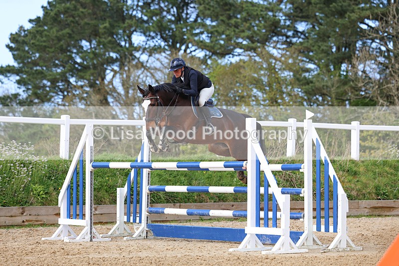 3E7A2169 - Class 8: Senior Foxhunter/1.20 open