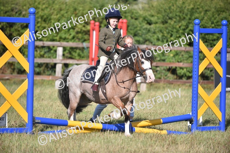 20260906-0593 - Class 6 - Minimus Jumping