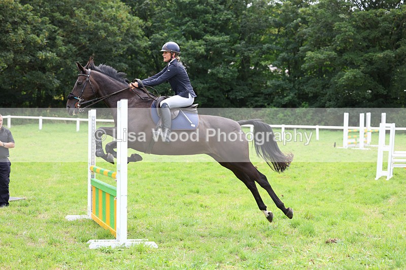 3E7A7353 - Class 5: Senior British Novice/90cm open
