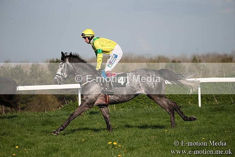 PtP 210418 593 - South & West Wilts Point-to-Point Larkhill 21/04/18