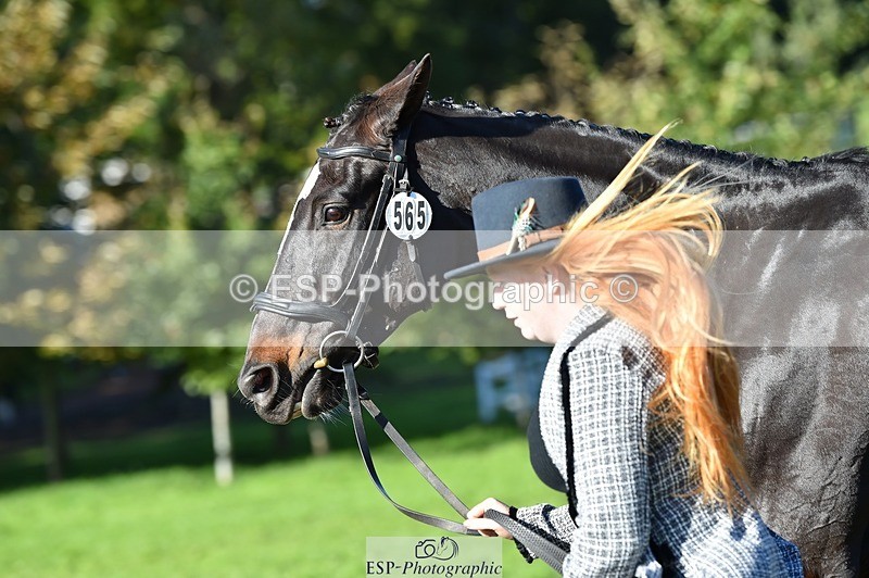 231022-111706-23866 - 565-LITTLE.M.II-Charlotte.Radley-TrotUp+SJ