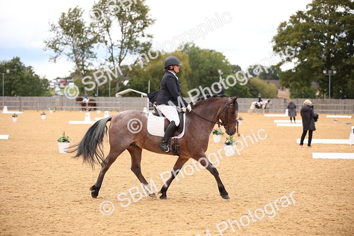 SBM_09083 - D8 Small Tour Championship Prelim 7