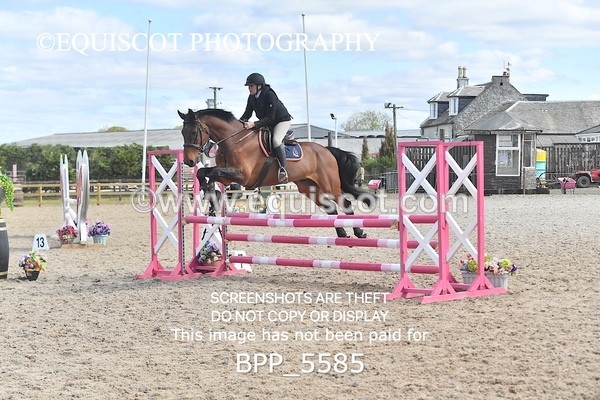 BPP_5585 - CLASS 24 SUN Senior BritiNovice/ 90cm Open