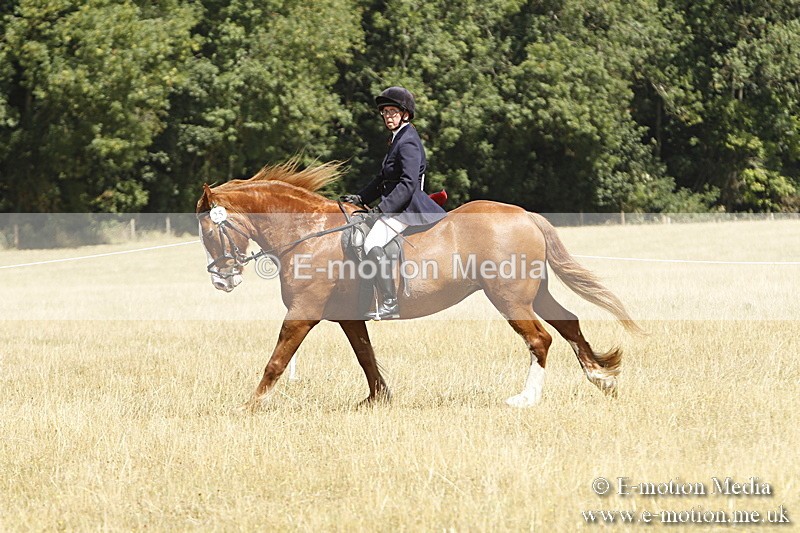 _BS_0767 - BVRC Show 2018 Ring 1