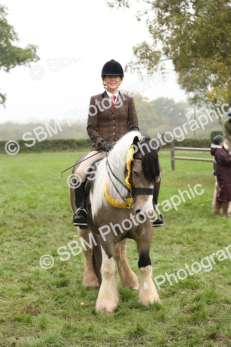 SBM_72853 - S70 - Traditional Cob Ridden