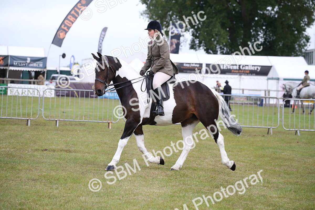 SBM_11086 - Class 92-93 - LIHS BSHA Rising Star Cobs