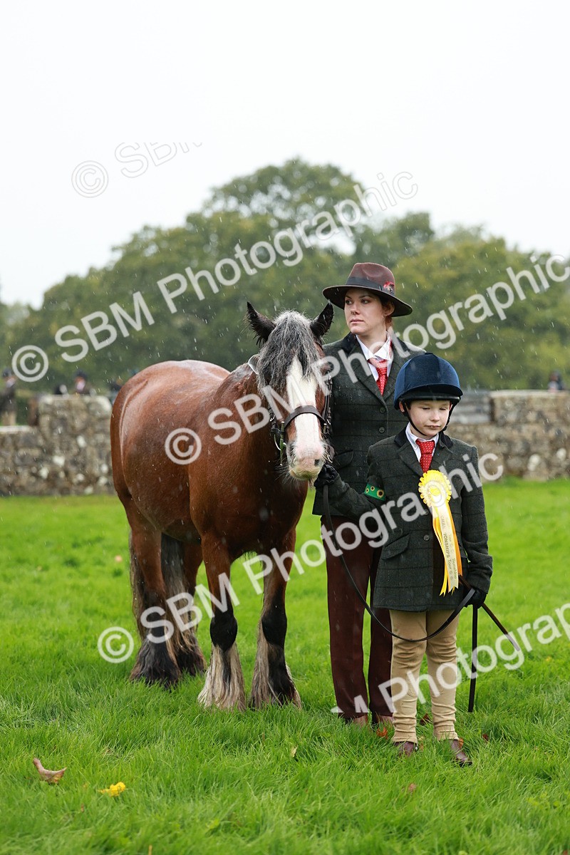 SBM_34962 - S10 - Best In Hand Horse & Pony