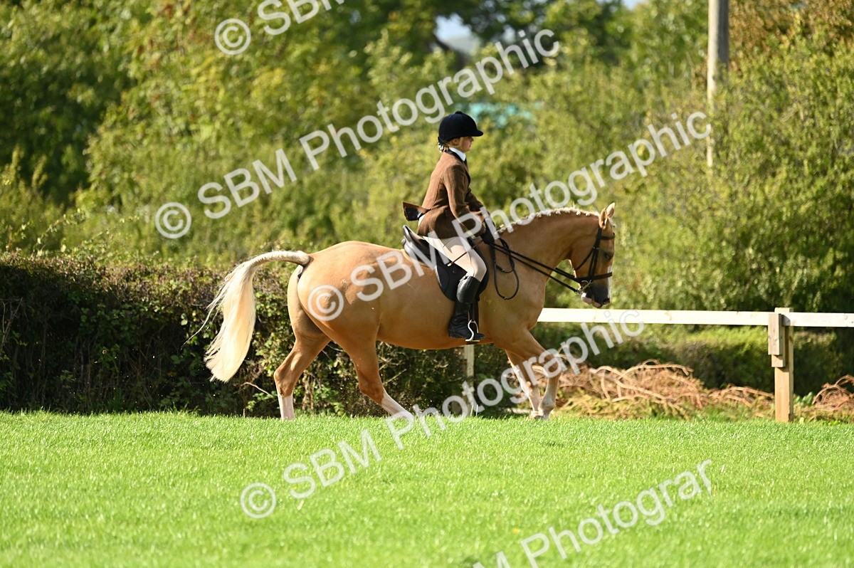 SBM_26413 - S6 - Novice & newcomer Ridden horse