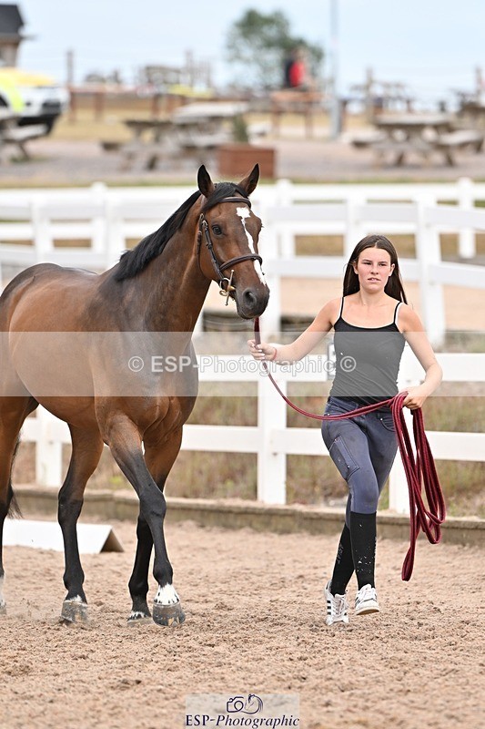 250716-163423-02678 - Trot Up 4.30 to 5.00