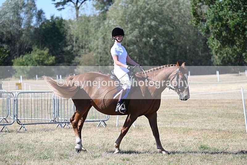 WJ7_1415 - Class 41 Prettiest Mare
