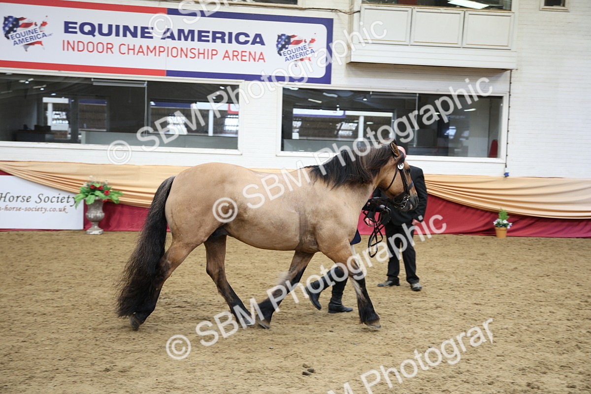 SBM_24728 - Class 906 - Supreme Final - Ridden Pre Vet