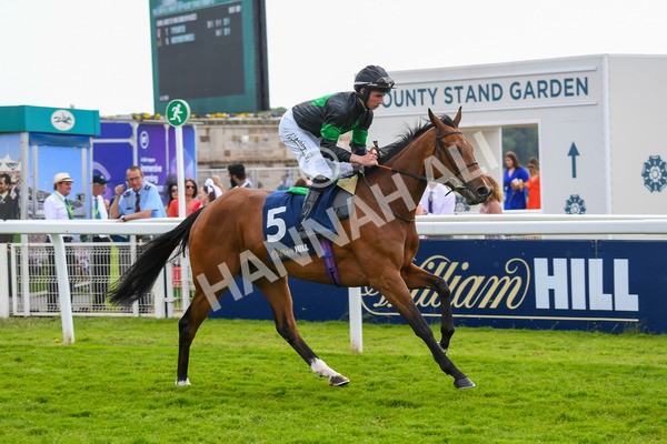 270523-Race 4-River of Stars-0545 - Race 4 3.15pm William Hill Bronte Cup Fillies' Stakes