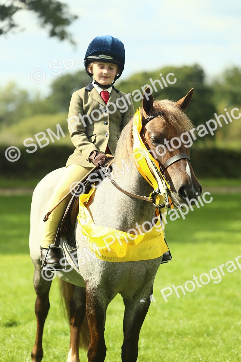 SBM_44970 - Working Hunter Pony Supreme Championship