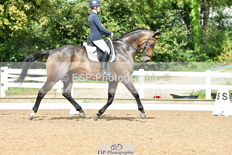 230912A-142618-01317 - Cls 11 Medium 73